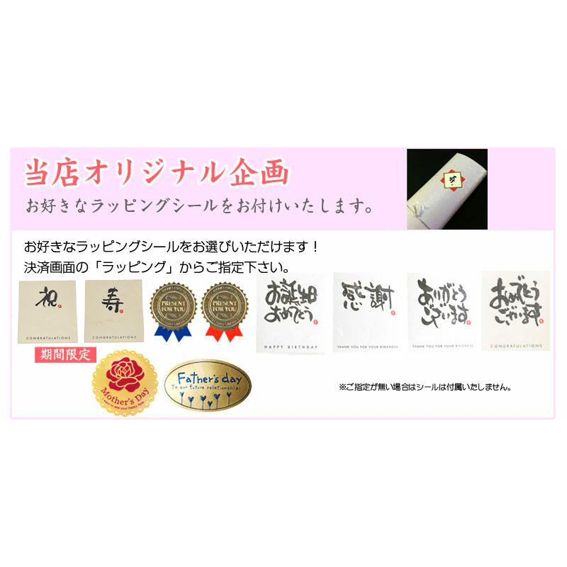扇子 名入れ無料 竹とんぼ 単品 /23cm 紳士用/せんす 名入れ ギフト プレゼント 贈り物/男性用 メンズ/記念日/還暦 お祝い 誕生日/父の日 敬老の日 - 画像 (5)