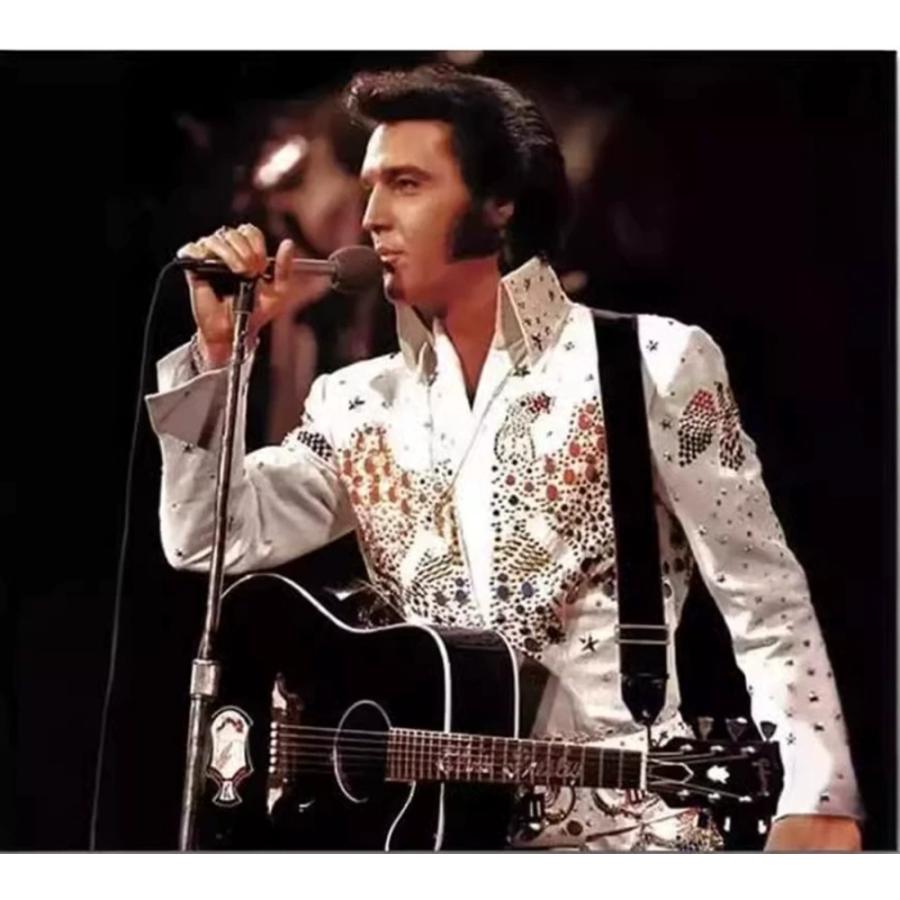 リーゼント ウィッグ メガネ セット ハードボイルド オールバック髪型 メンズ か ブラック - 画像 (6)