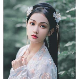 可愛いカチューシャ 中華髪飾り チャイナ風古代古典フリンジかんざし ペア(二個) 蝶&花 大人 子供通用 華流舞台ステージ道具 コスプレヘアアクセサリ